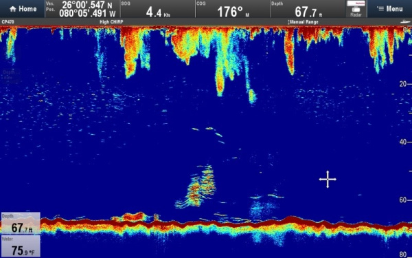 Блок эхолокации Raymarine CP470 E70298 от прозводителя Raymarine